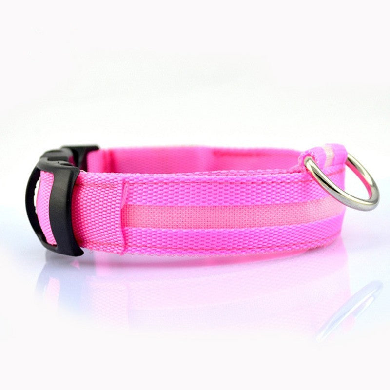 GlowPup Safety Collar