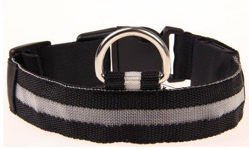 GlowPup Safety Collar