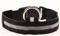 GlowPup Safety Collar