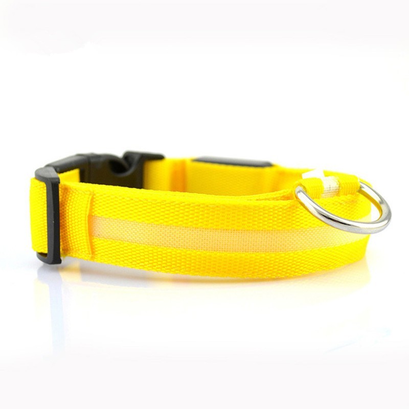 GlowPup Safety Collar