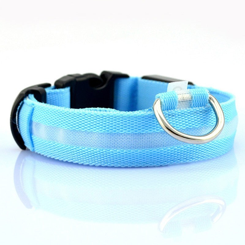 GlowPup Safety Collar