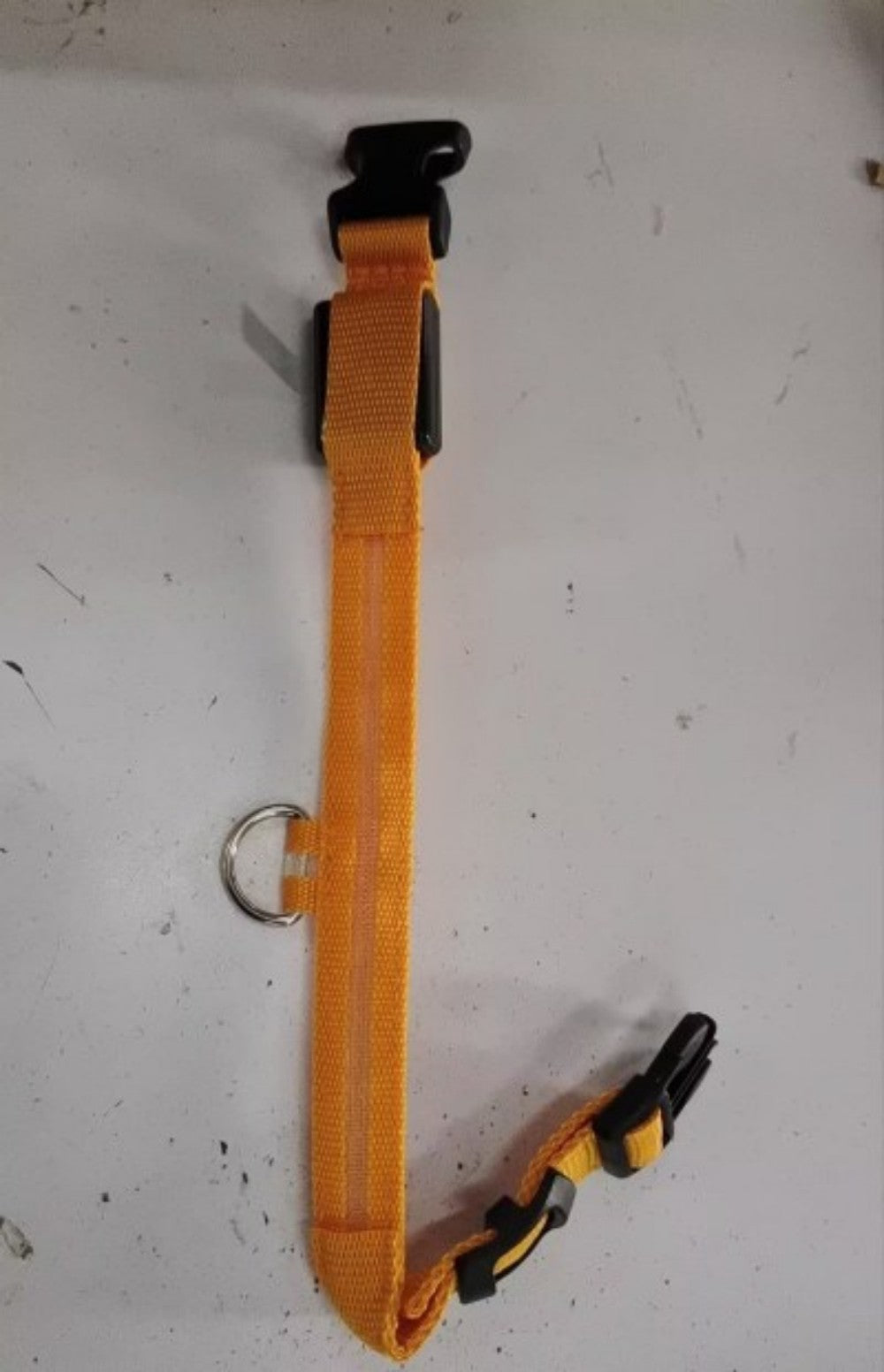 GlowPup Safety Collar