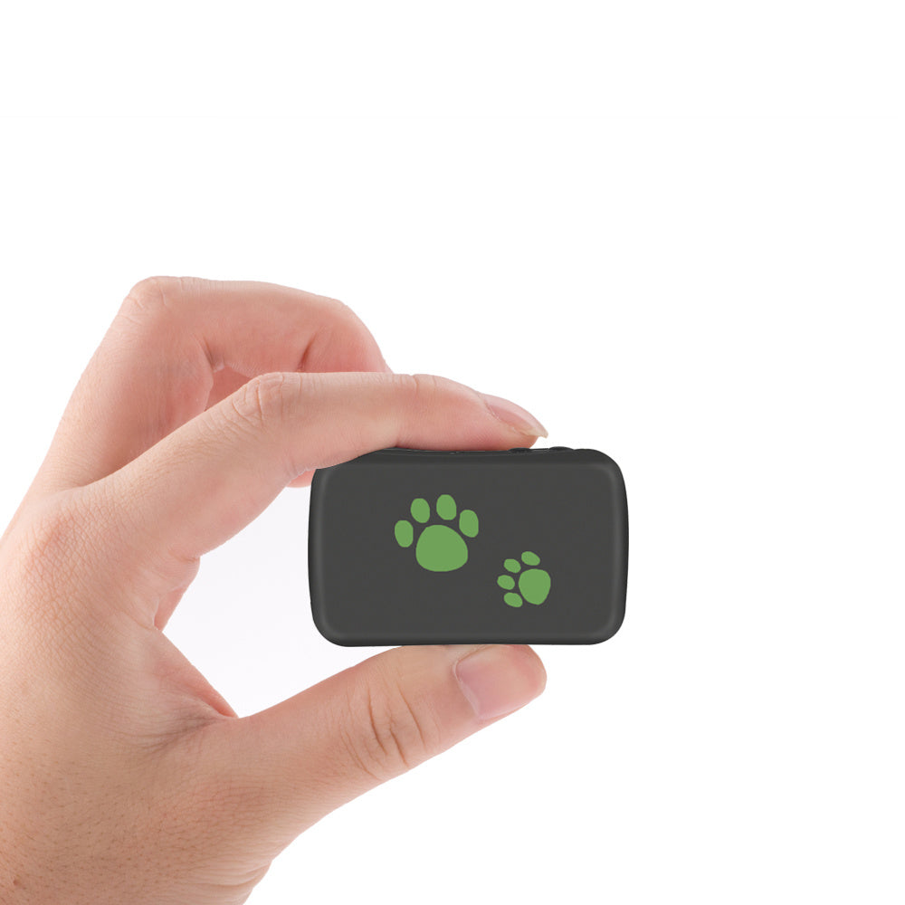 FindMyFur GPS Tag